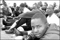 El Gobierno pide ayuda log&iacute;stica a la UE para frenar la oleada de inmigrantes